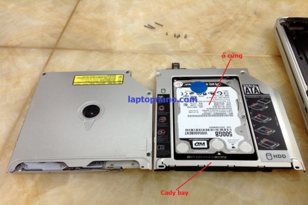 Có nên nâng cấp ổ cứng SSD cho laptop ?