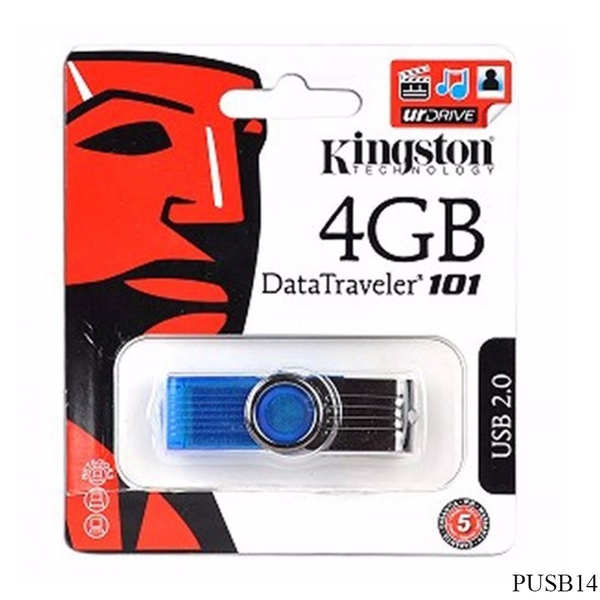 USB KingSton 4GB FPT