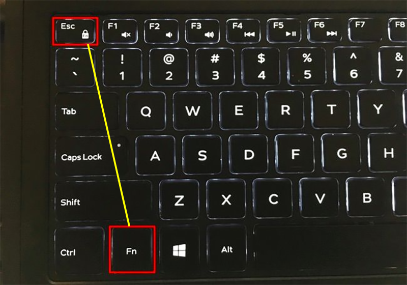 Fn + Esc Bật/Tắt chế độ Fn Lock